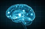 Vitamin C jako neuroprotektivní faktor a důsledky jeho deficitu