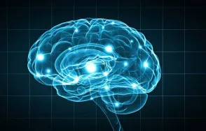 Vitamin C jako neuroprotektivní faktor a důsledky jeho deficitu