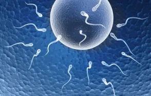 Neplodnost a fyziologická regulační medicína