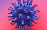 Ministerstvo zdravotnictví ČR a WHO k problematice koronavirové pandemie