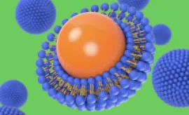 Význam vitaminu C ve zdraví a nemoci