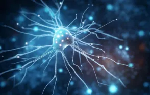 Možnosti regulace neuroimunitních a neuroendokrinních procesů - seminář